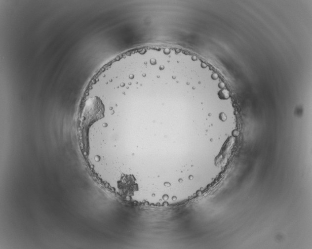 X0000116310856201001111137