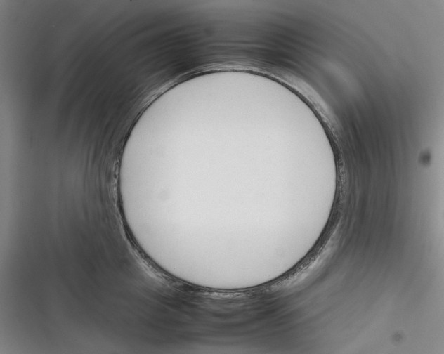 X0000116310857201001111137