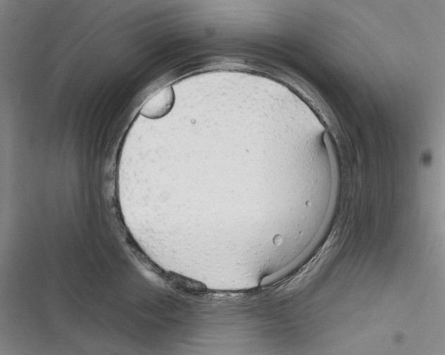 X0000116310858201001111137