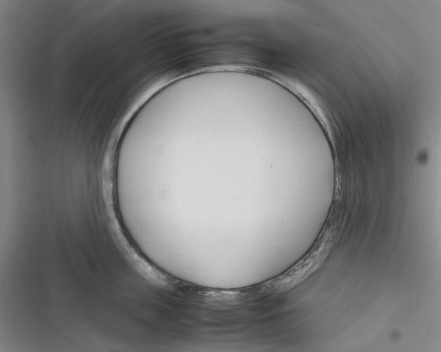 X0000116310859201001111137