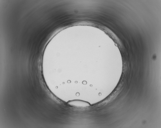 X0000116310860201001111137