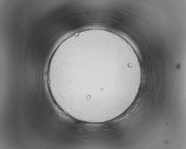 X0000116310861201001111137