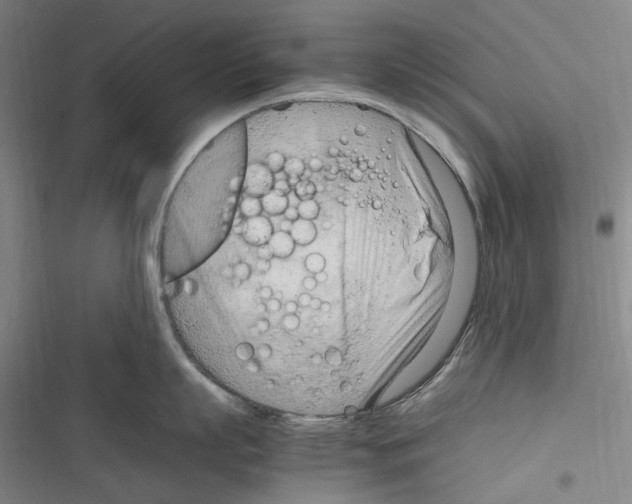 X0000116310863201001111137