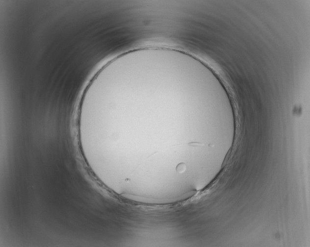 X0000116310864201001111137