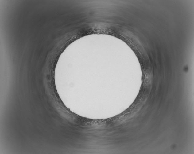 X0000116310865201001111136