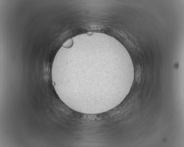 X0000116310866201001111136