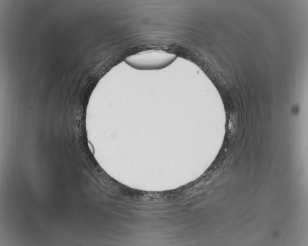 X0000116310867201001111136