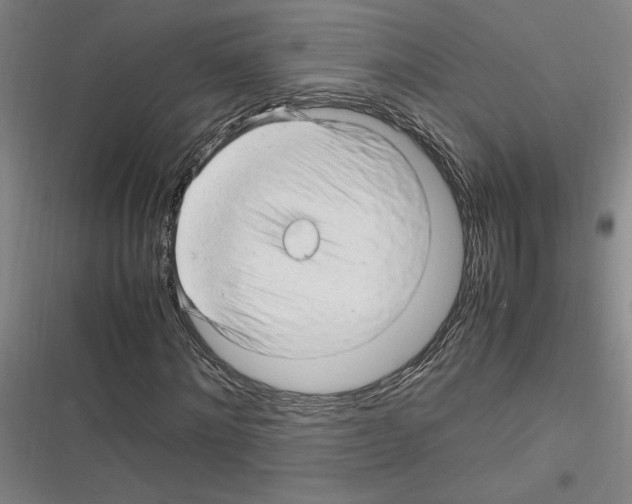 X0000116310868201001111136