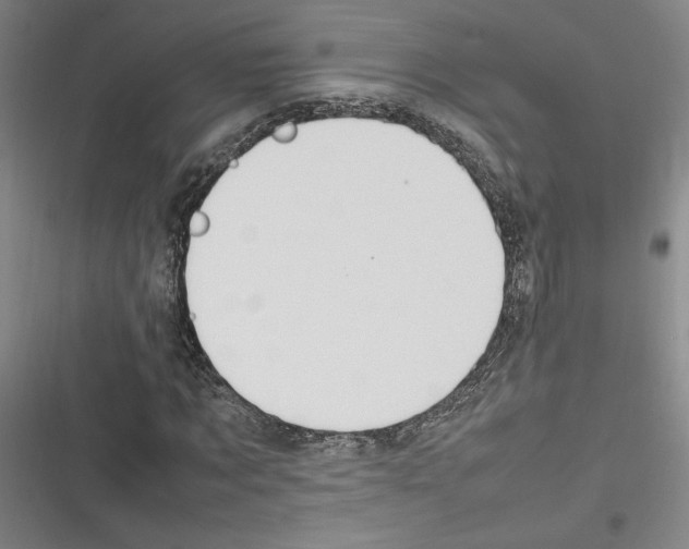 X0000116310869201001111136