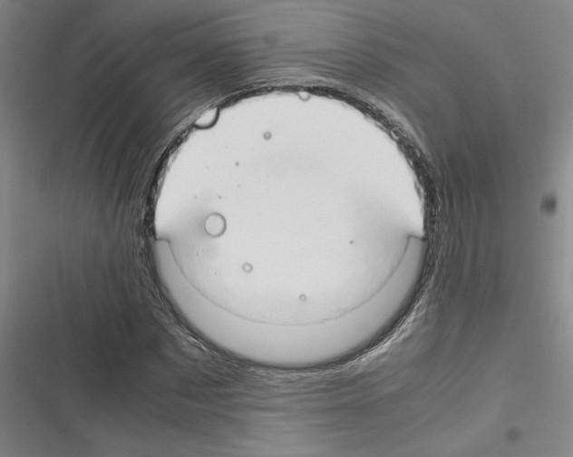 X0000116310873201001111136