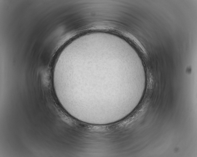 X0000116310874201001111136