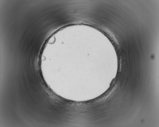 X0000116310876201001111136