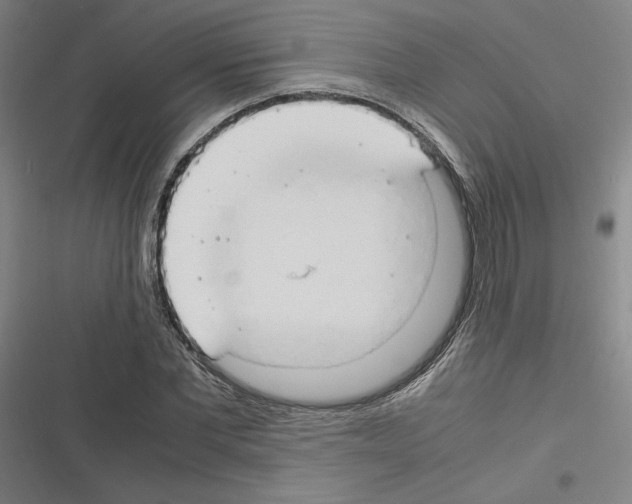 X0000116310877201001111136