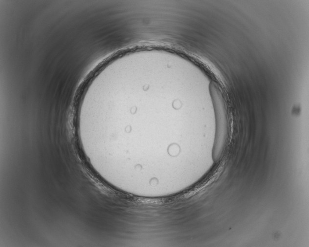 X0000116310878201001111136