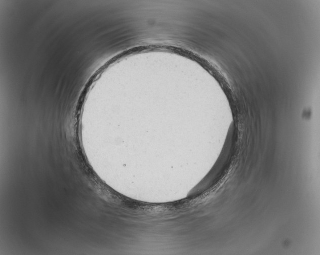 X0000116310879201001111136