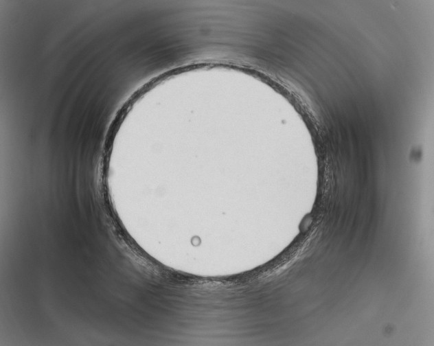 X0000116310880201001111136