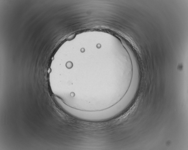 X0000116310881201001111136