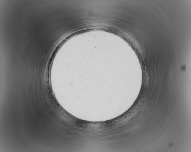 X0000116310883201001111136