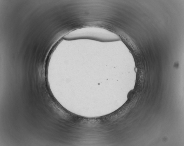 X0000116310884201001111136