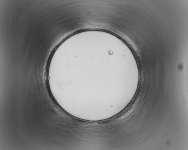 X0000116310885201001111136