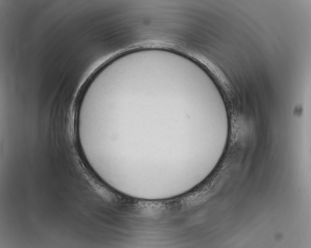 X0000116310886201001111136