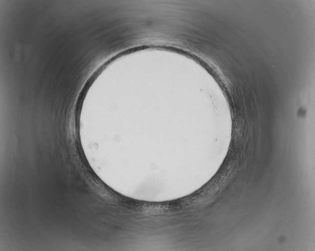 X0000116310887201001111136