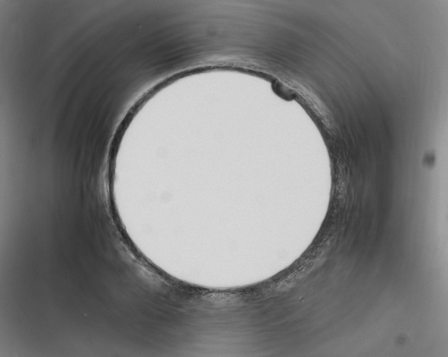 X0000116310888201001111136