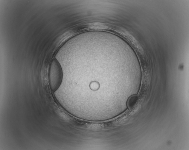 X0000116310889201001111136