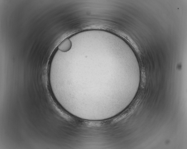 X0000116310890201001111136