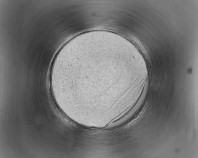 X0000116310892201001111136