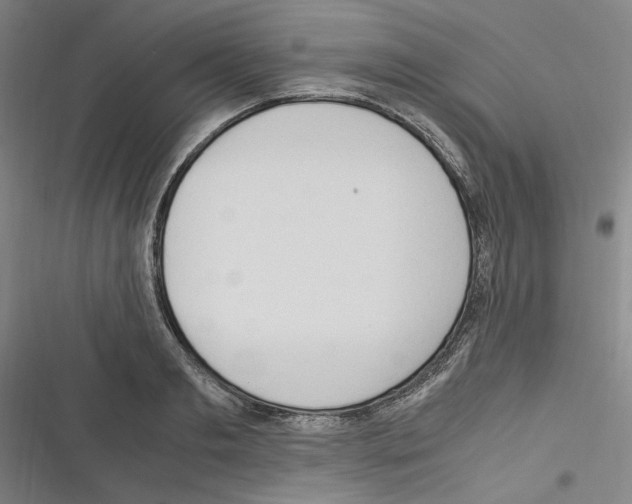 X0000116310893201001111136