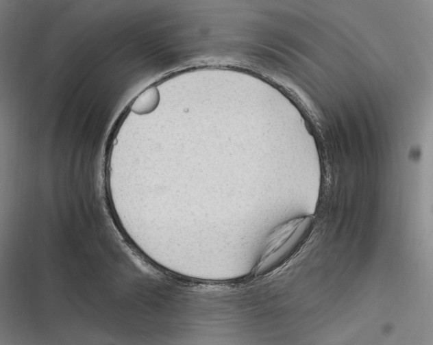 X0000116310894201001111136