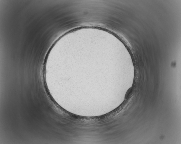 X0000116310895201001111136