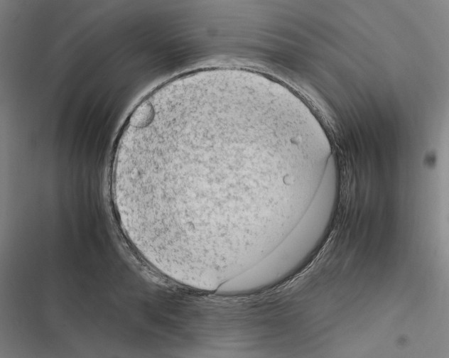 X0000116310896201001111136