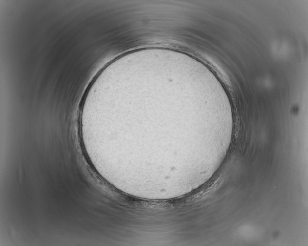 X0000116310899201001111136