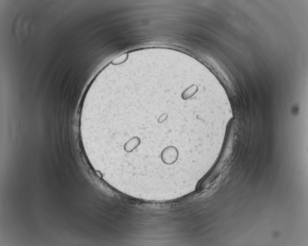 X0000116310900201001111136