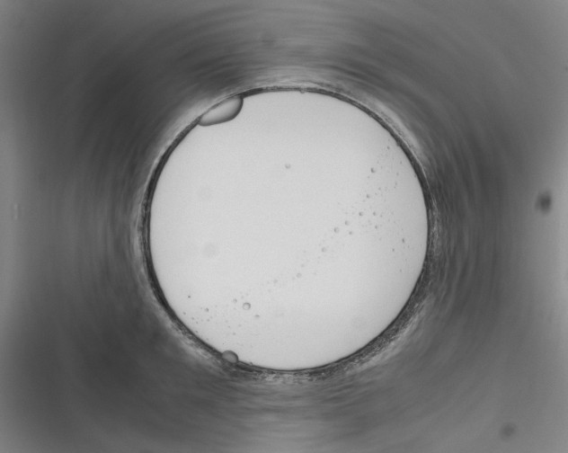 X0000116310901201001111136