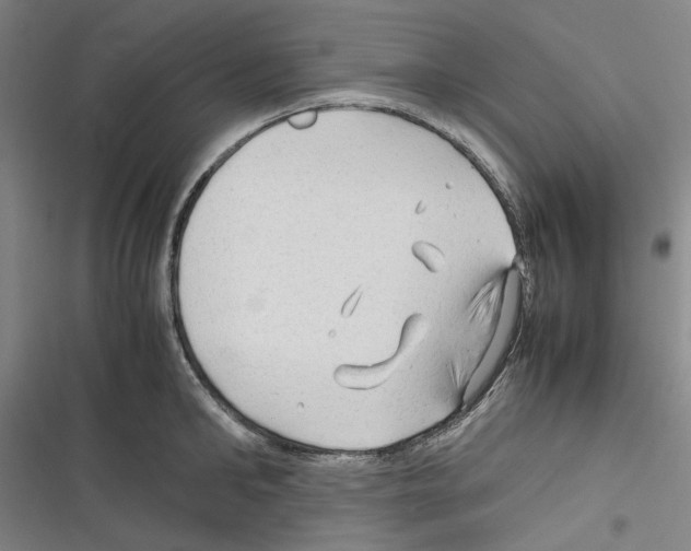 X0000116310902201001111136