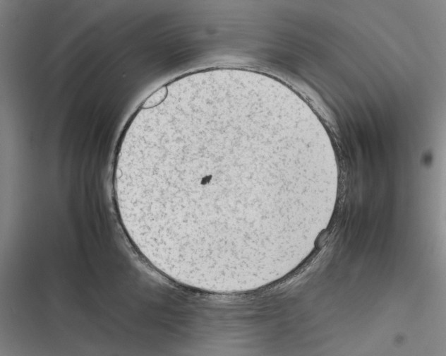 X0000116310904201001111136