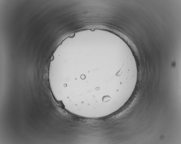 X0000116310905201001111136