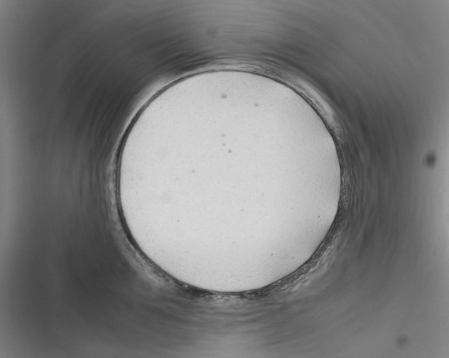 X0000116310907201001111136