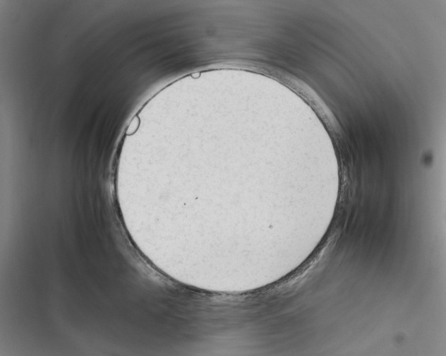 X0000116310908201001111136