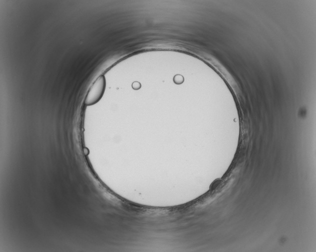 X0000116310909201001111136