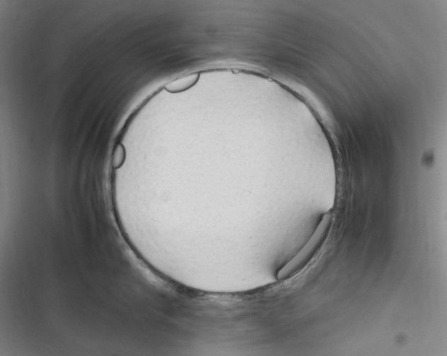 X0000116310910201001111136