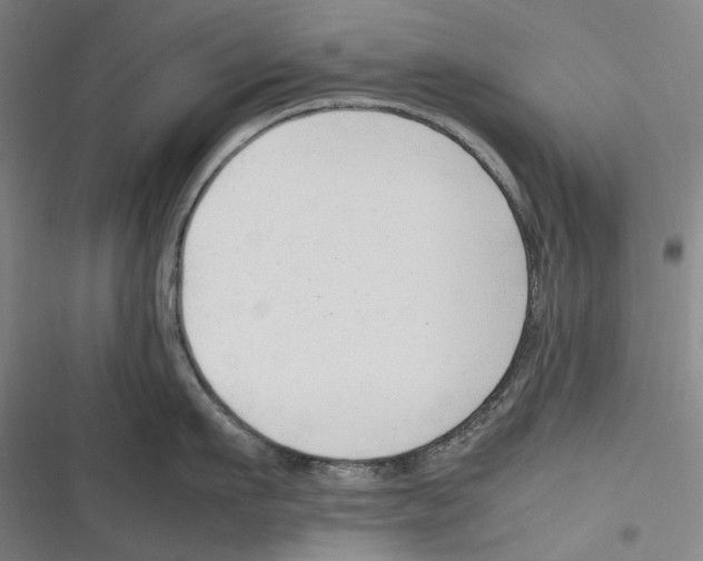 X0000116310911201001111136