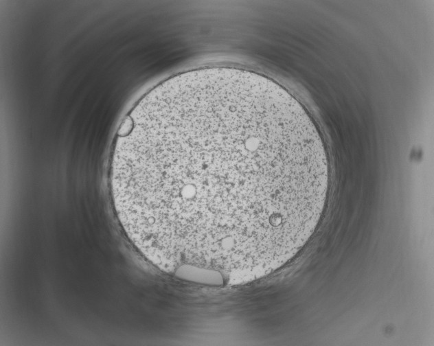 X0000116310912201001111136