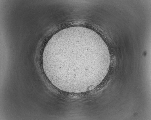 X0000116310913201001111135