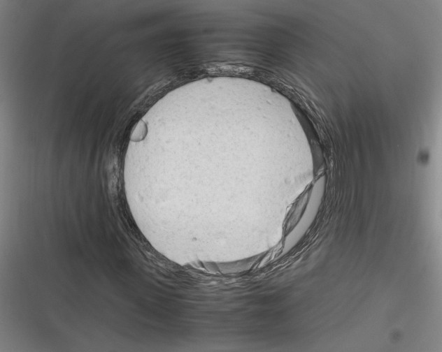 X0000116310915201001111135