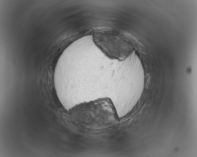 X0000116310917201001111135