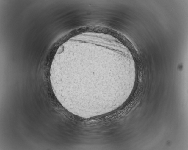 X0000116310919201001111135